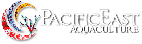 Pacific East Aquaculture