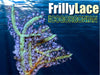 Frilly Lace Photosynthetic Gorgonian