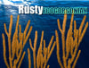 Rusty Gorgonians