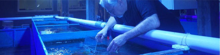 27 Hours to Jakarta!