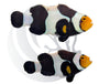 Onyx C-Quest Line Clownfish Captive Bred WYSIWYG Pair