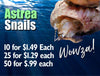 Astrea Snail Super Sale!