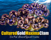 "Our Pick" Cultured Maxima Clams