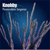 Knobby Photosynthetic Gorgonian coral on a blue background with 'Knobby' branding.