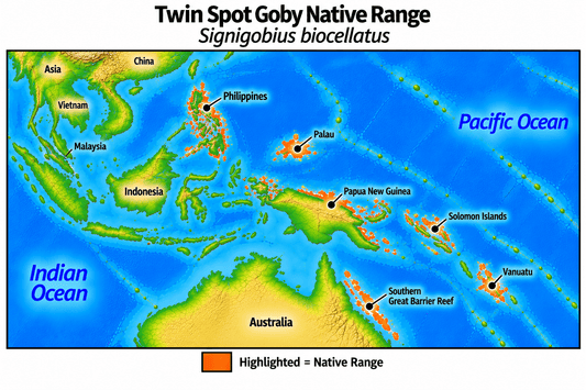 Native range map of Twin Spot Goby (Signigobius biocellatus), highlighting its Western Pacific distribution from the Philippines through Palau and Papua New Guinea to the Solomon Islands and Vanuatu, extending south to Australia’s southern Great Barrier Reef.