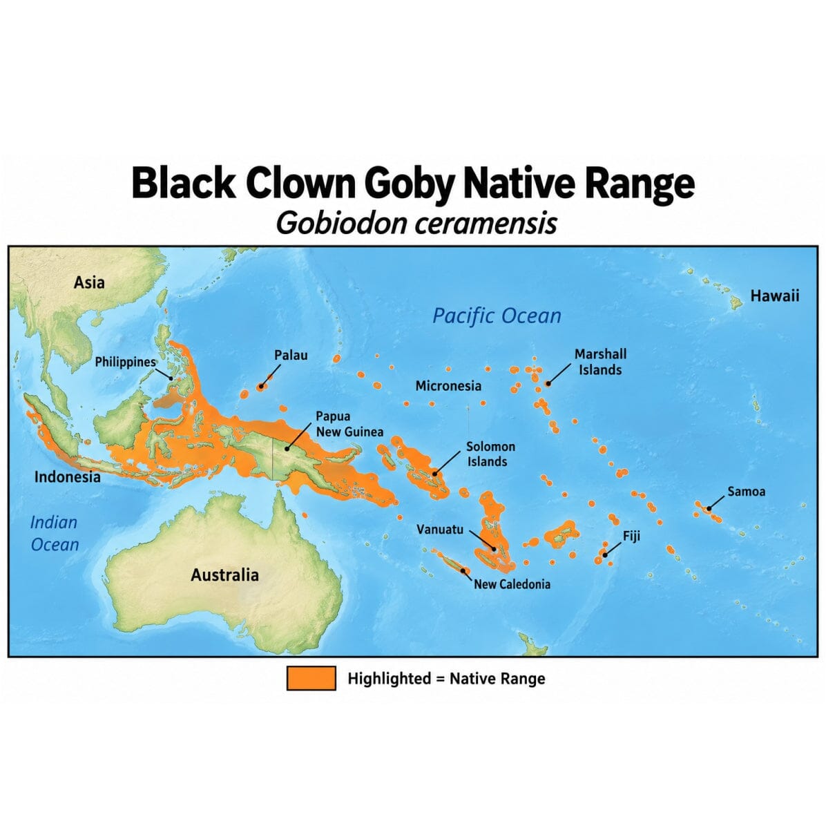 Black Clown Goby (Gobiodon ceramensis) native range map showing its Western Central Pacific distribution from Indonesia and the Philippines through Papua New Guinea, Micronesia, the Solomon Islands, Vanuatu, New Caledonia, Fiji, and Samoa.