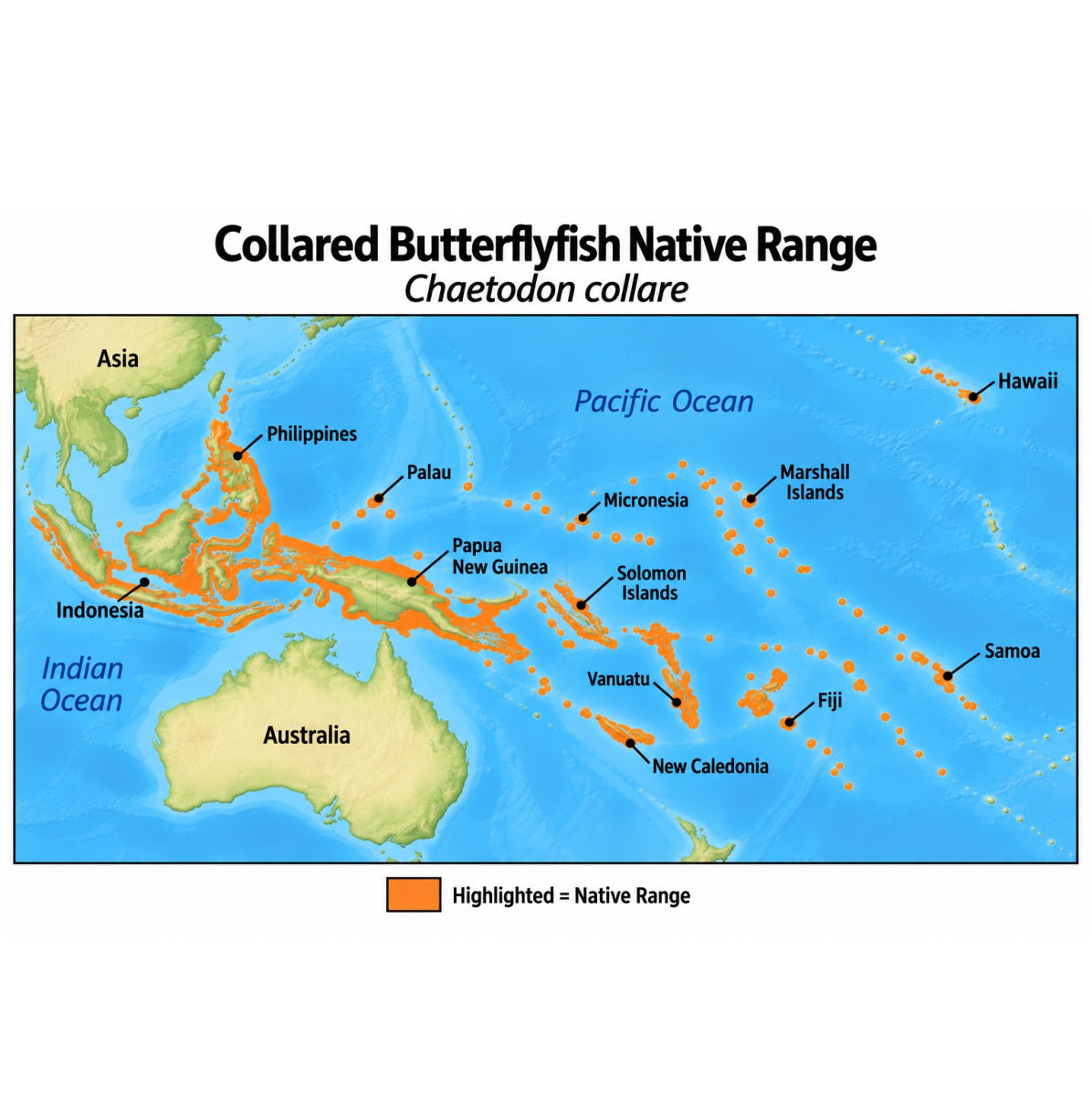 Collared Butterflyfish (Chaetodon collare) native range map highlighting its Indo-Pacific distribution in orange, including Indonesia, the Philippines, Papua New Guinea, and western and central Pacific island regions.