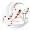 Coral Banded Shrimp (Stenopus hispidus), opportunistic scavenger, medium saltwater aquarium invert