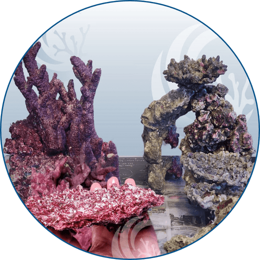 Custom Reef Aquascape Design Service by Dr. Mac