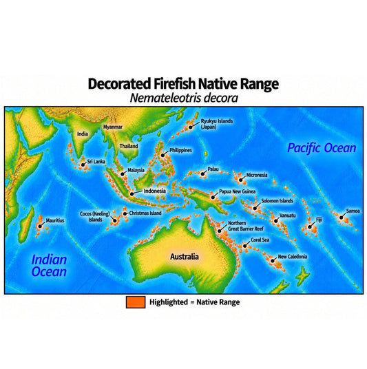 Native range map of Decorated Firefish (Nemateleotris decora), highlighting its Indo-Pacific distribution from Mauritius across Southeast Asia and the western Pacific to Samoa, north to the Ryukyu Islands, and south to New Caledonia.