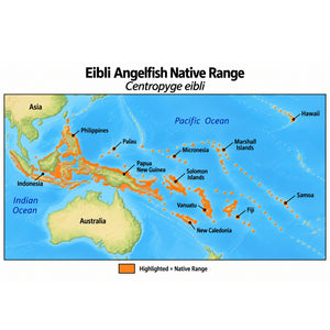 Eibli Angelfish (Centropyge eibli) native range map highlighting its Indo-Pacific distribution in orange, including Indonesia, the Philippines, Papua New Guinea, and western and central Pacific island regions.