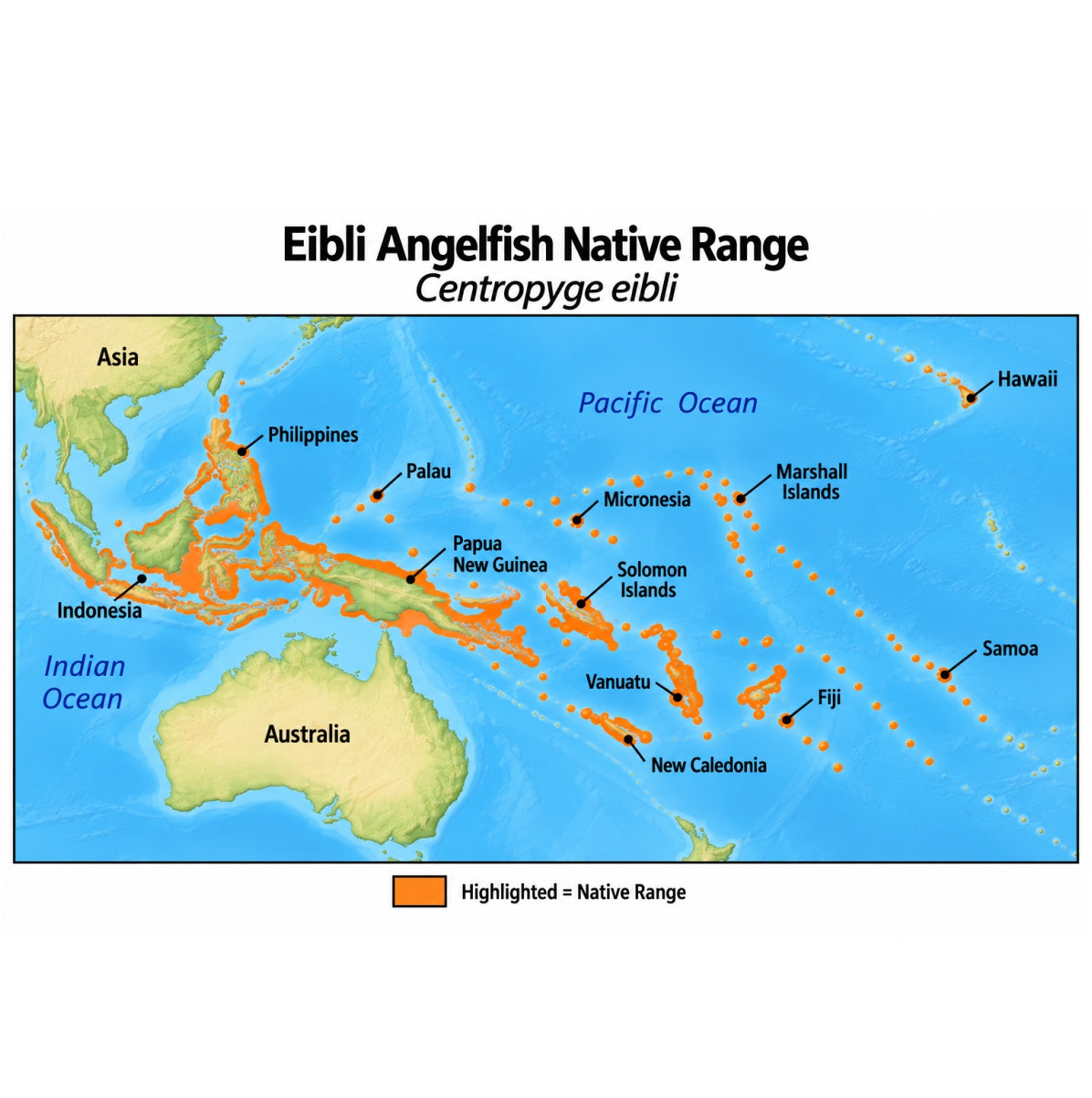 Eibli Angelfish (Centropyge eibli) native range map highlighting its Indo-Pacific distribution in orange, including Indonesia, the Philippines, Papua New Guinea, and western and central Pacific island regions.