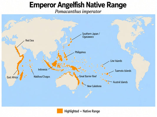 Emperor Angelfish (Pomacanthus imperator) native range map showing its Indo-Pacific distribution from the Red Sea and East Africa to southern Japan, the Great Barrier Reef, and central Pacific islands.