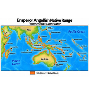 Intermediate Emperor Angelfish (Pomacanthus imperator) native range map highlighting its Indo-Pacific distribution in orange, including Indonesia, the Philippines, Papua New Guinea, and western and central Pacific island regions.