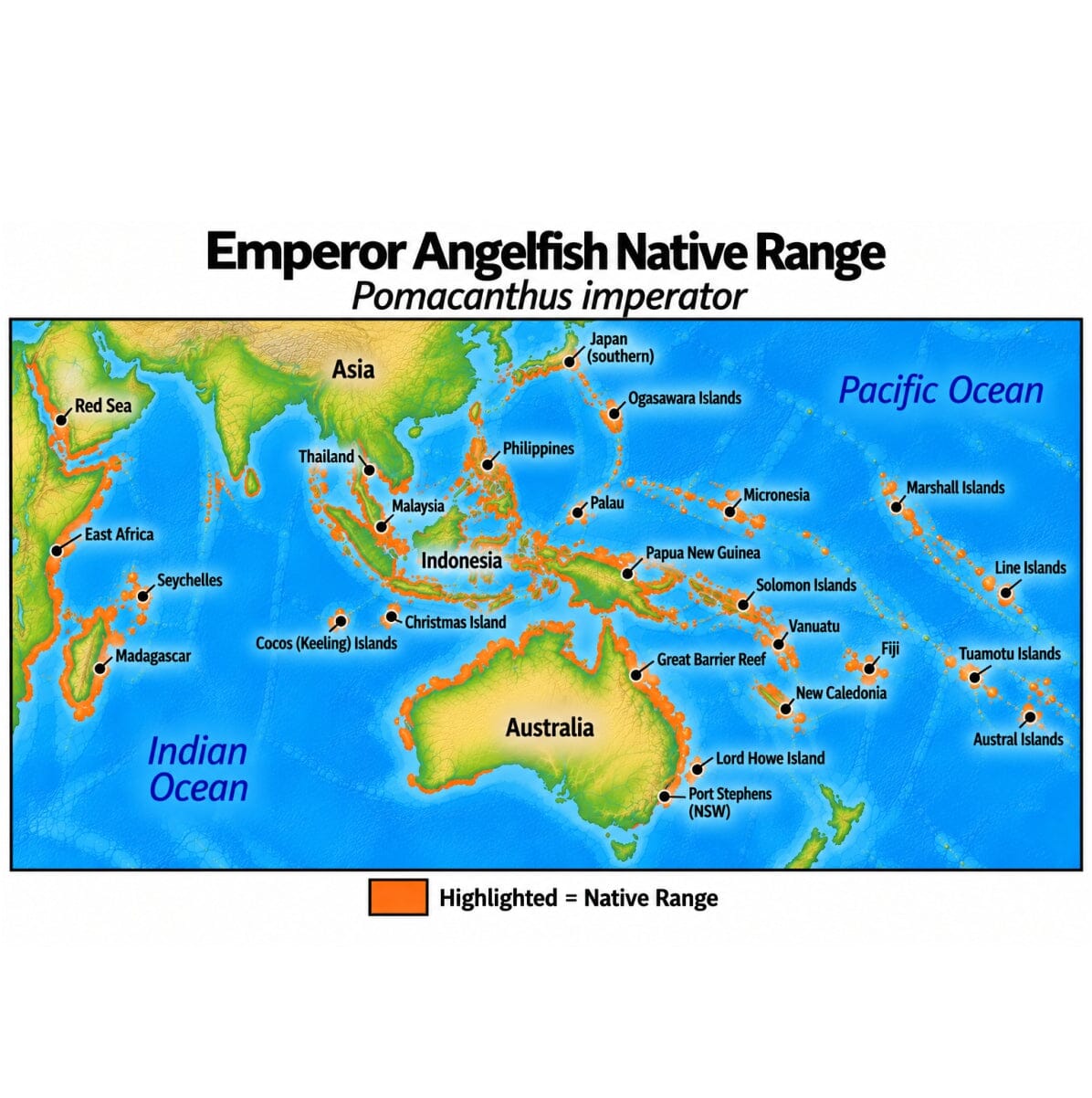 Intermediate Emperor Angelfish (Pomacanthus imperator) native range map highlighting its Indo-Pacific distribution in orange, including Indonesia, the Philippines, Papua New Guinea, and western and central Pacific island regions.
