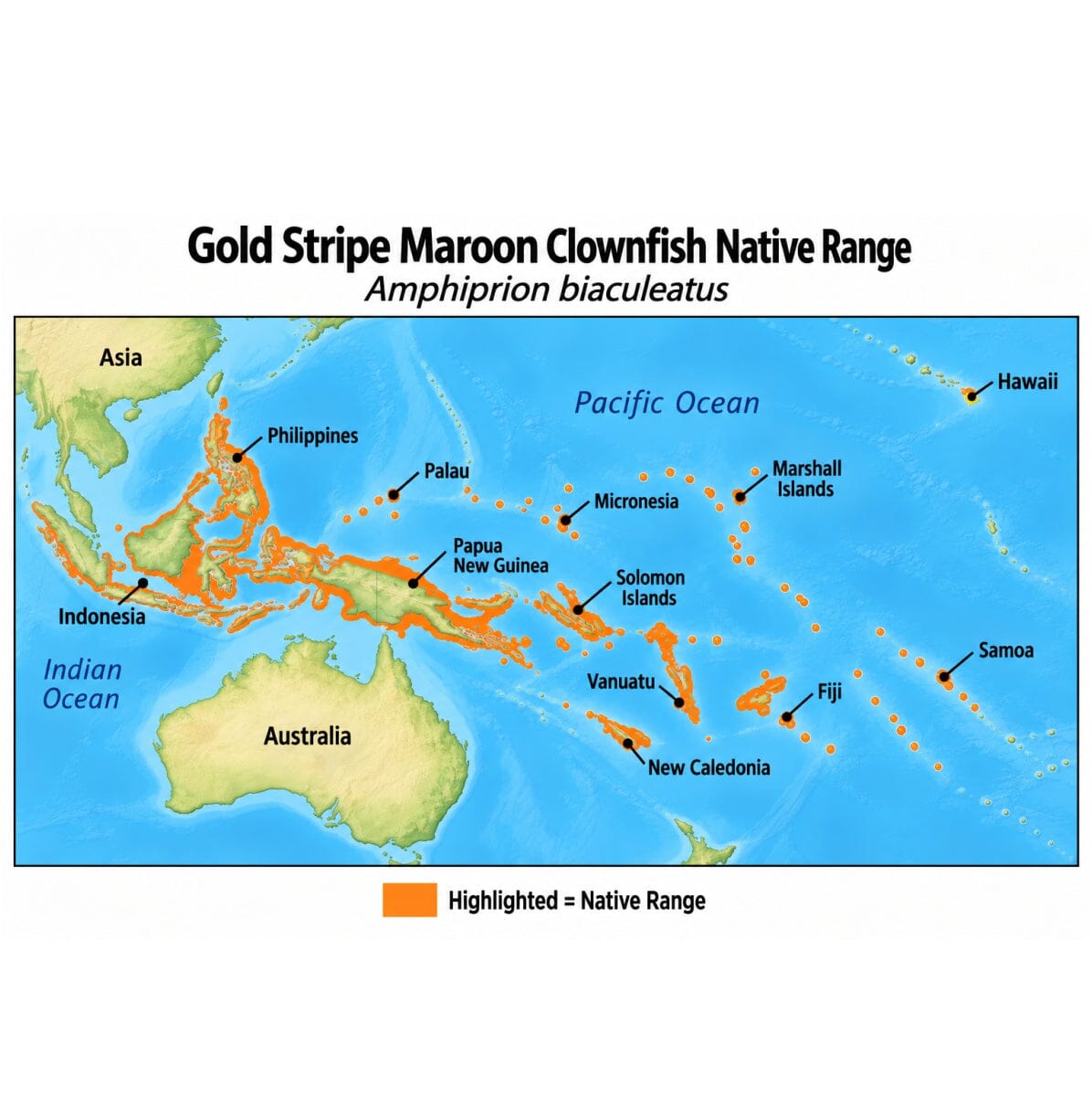 Gold Stripe Maroon Clownfish (Amphiprion biaculeatus) native range map highlighting its Indo-Pacific distribution in orange, including Indonesia, the Philippines, Papua New Guinea, and western Pacific island regions.