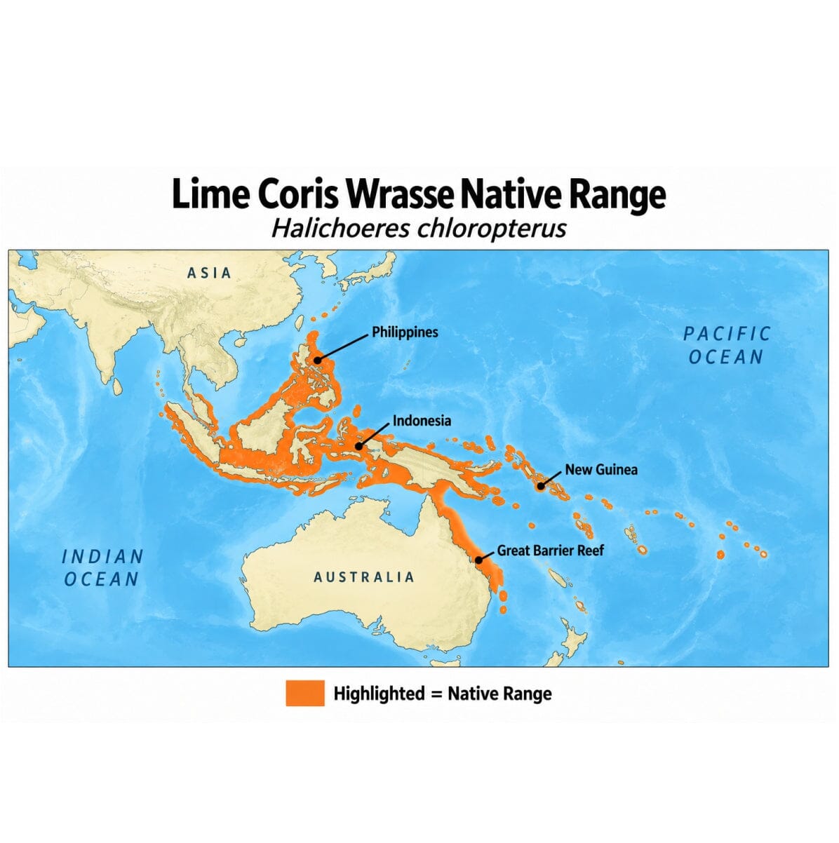 Lime Coris Wrasse (Halichoeres chloropterus) native range map showing its Western Central Pacific distribution from the Philippines through Indonesia and New Guinea to the Great Barrier Reef in Australia.