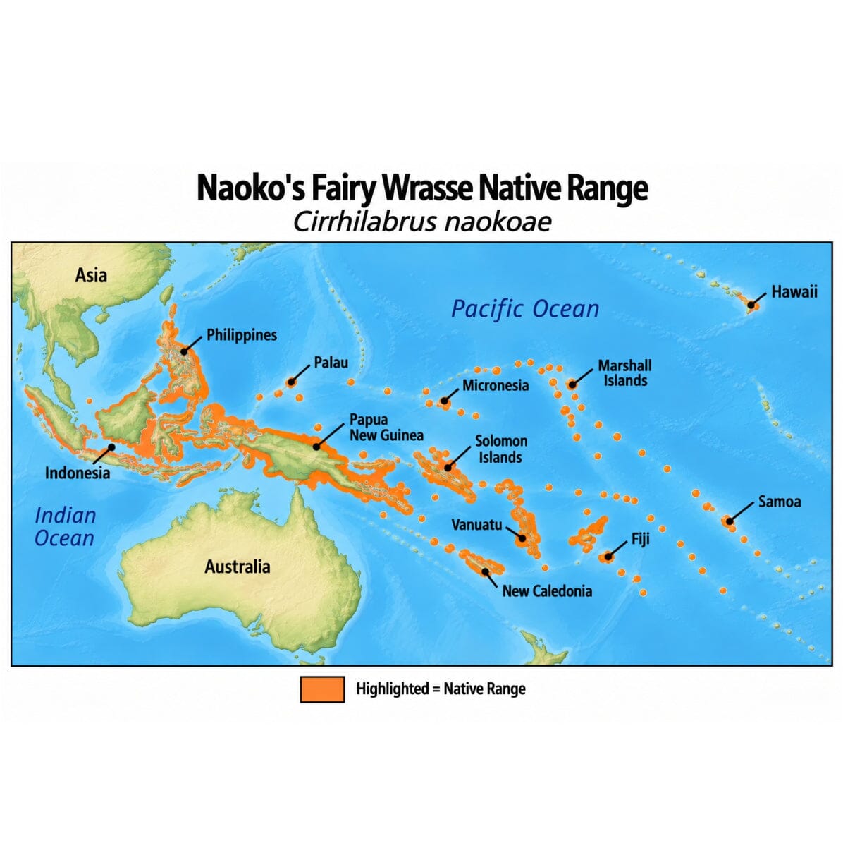 Naoko’s Fairy Wrasse (Cirrhilabrus naokoae) native range map highlighting its Indo-Pacific distribution in orange, including Indonesia, the Philippines, Papua New Guinea, and western and central Pacific island regions.