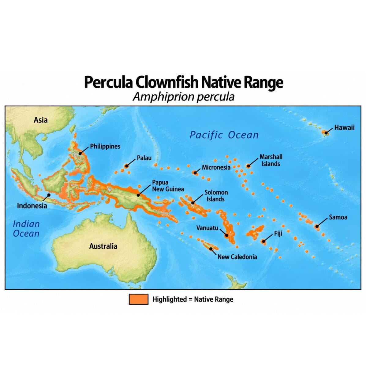 Percula Clownfish (Amphiprion percula) native range map highlighting its Indo-Pacific distribution in orange, including Indonesia, the Philippines, Papua New Guinea, and western Pacific island regions.