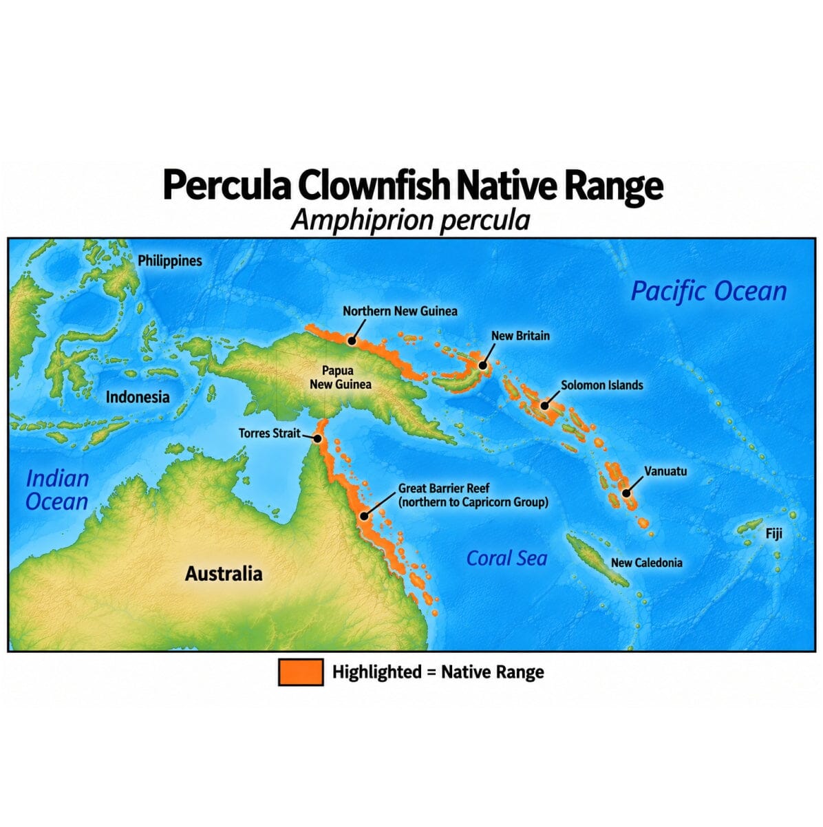 Native range map of Percula Clownfish (Amphiprion percula), highlighting its Western Pacific distribution across northern New Guinea, New Britain, the Solomon Islands, Vanuatu, Torres Strait, and the northern Great Barrier Reef south to the Capricorn Group.