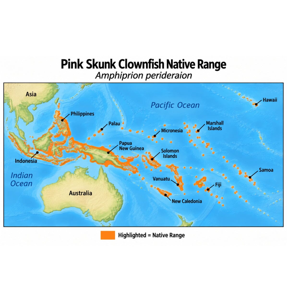 Pink Skunk Clownfish (Amphiprion perideraion) native range map highlighting its Indo-Pacific distribution in orange, including Indonesia, the Philippines, Papua New Guinea, and western and central Pacific island regions.