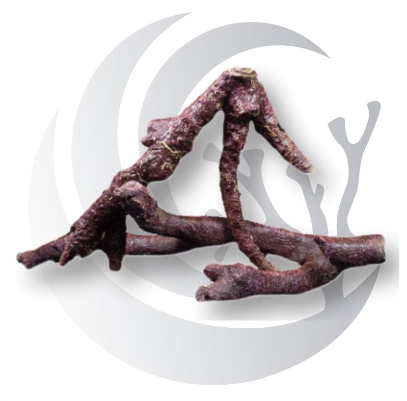 Real Reef Branch Rock for reef aquariums with natural branching structure for coral placement and open aquascaping.