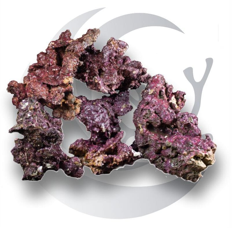 Real Reef Rock for saltwater reef aquariums with natural textures and shapes ideal for aquascaping, coral placement, and biological filtration.