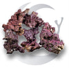 Real Reef Rock for saltwater reef aquariums with natural textures and shapes ideal for aquascaping, coral placement, and biological filtration.