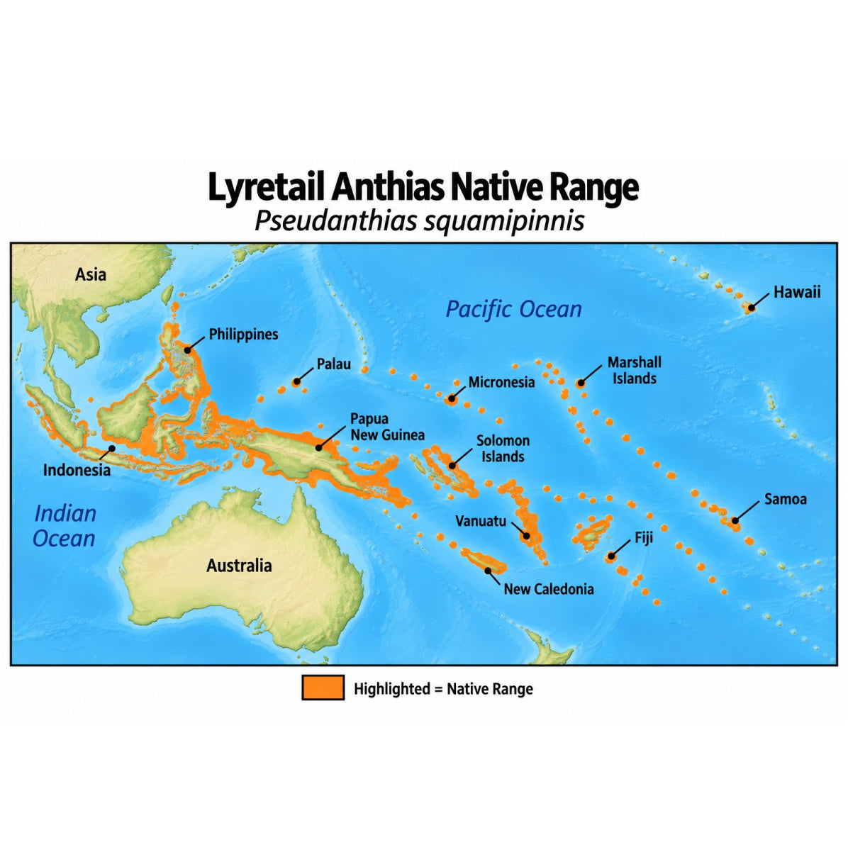 Lyretail Anthias (Pseudanthias squamipinnis) native range map highlighting its Indo-Pacific distribution in orange, including Indonesia, the Philippines, Papua New Guinea, and western and central Pacific island regions.