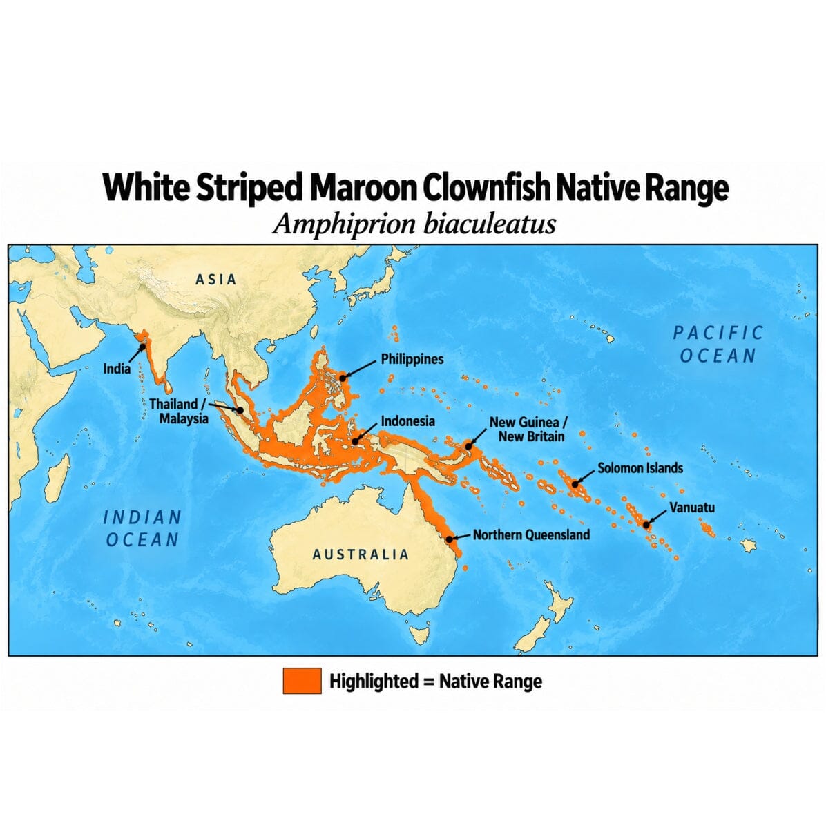 White Striped Maroon Clownfish (Amphiprion biaculeatus) native range map showing its Indo-West Pacific distribution from India and Southeast Asia through Indonesia, the Philippines, New Guinea, the Solomon Islands, Vanuatu, and northern Queensland, Australia.