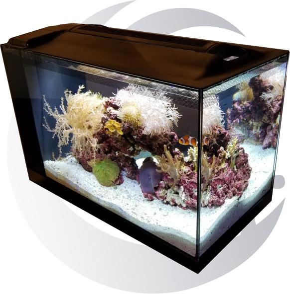 13 Gallon Fluval Nano Tank