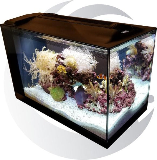 13 Gallon Fluval Nano Tank