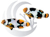 Onyx Picasso Clownfish WYSIWYG Captive Bred Pair
