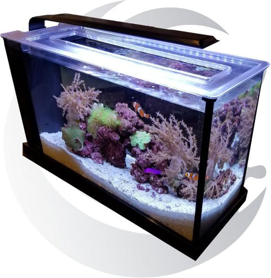 5 Gallon Nano Tanks