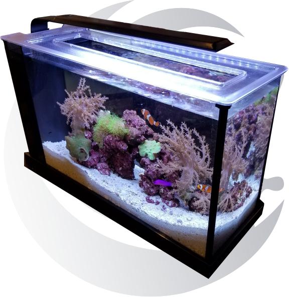 My Reef Retreat - 5 Gallon Nano Tank Complete Reef Setup