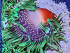 Bright Green with Red base Long Tentacle Anemone