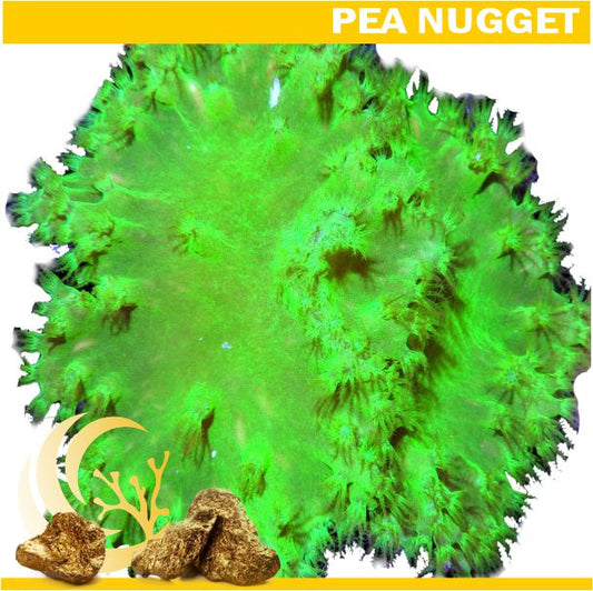 Loyalty Product: Green Cabbage Leather Frag