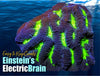 Einstein's Electric Brain