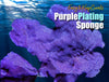 Purple Photosynthetic Plating Sponge