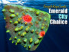 EmeraldCity Chalice Coral Frag For Sale