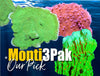 "Our PIck" Plating Montipora Frag Pak Special