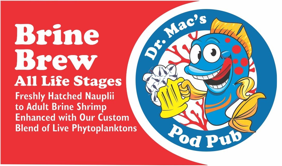 Brine Brew - Dr. Mac's Pod Pub - Custom Brewed Live Foods