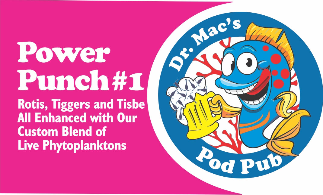 CORAL POWER PUNCH #1 - LIVE ROTIFER MIX