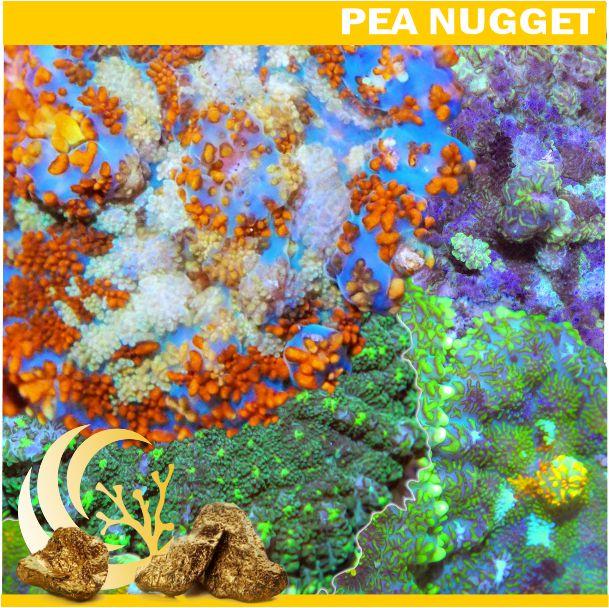 Loyalty Product: Mystery Mushroom Nugget