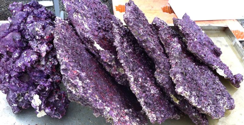 Real Reef Shelf Rock