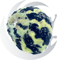 Dr. Mac's Pod Pub Problem Algae Demo Kit